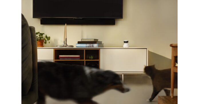 PetLibro Launches Scout Smart Camera to Transform Pet Monitoring