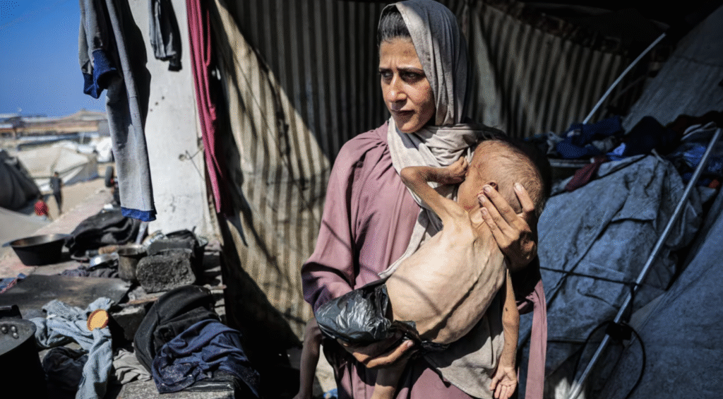 Gaza aid situation