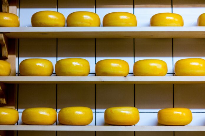 Cheese storage