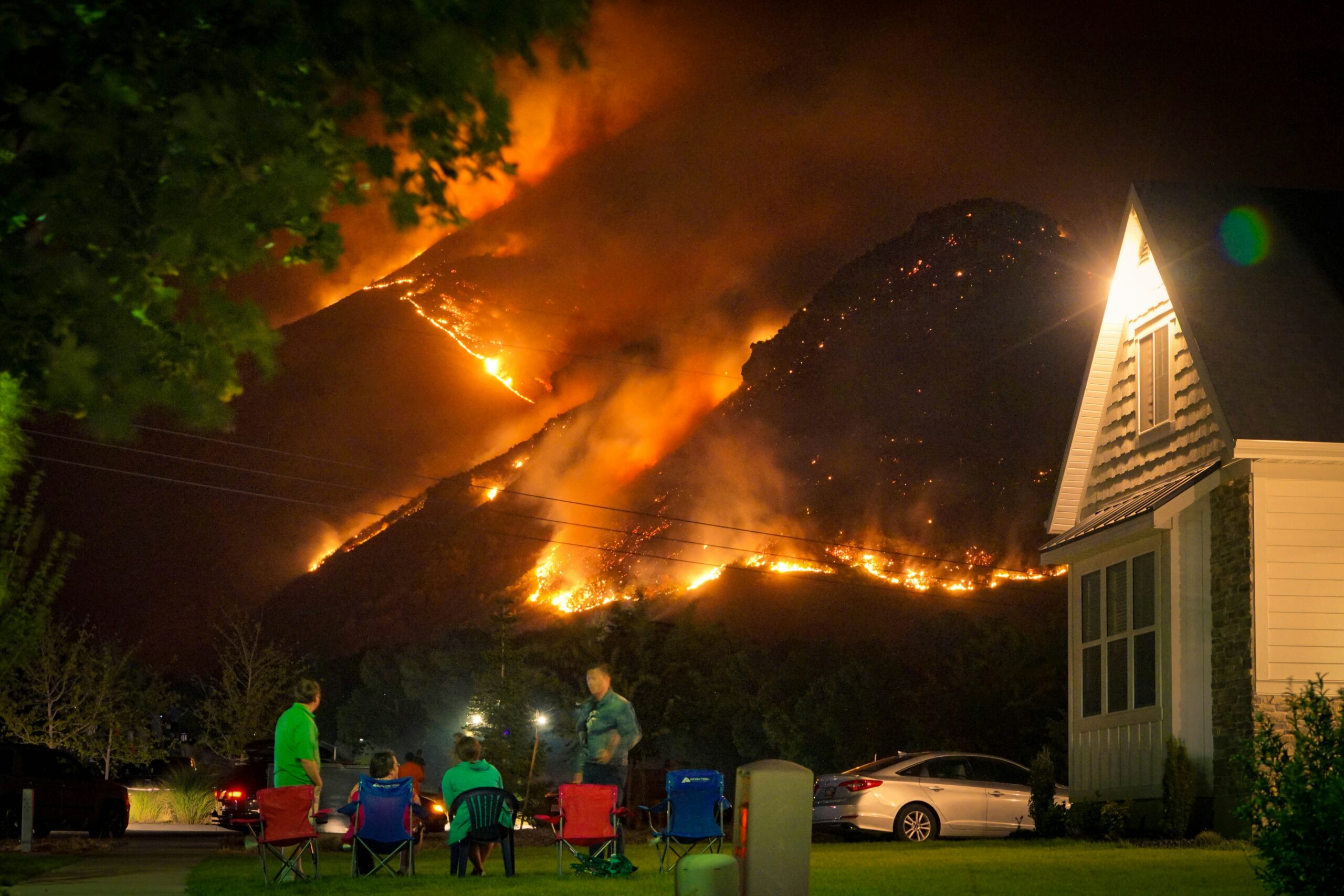 Wild fire