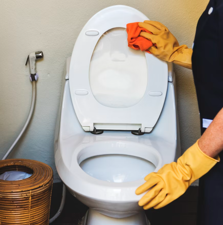 toilet seat disease risk