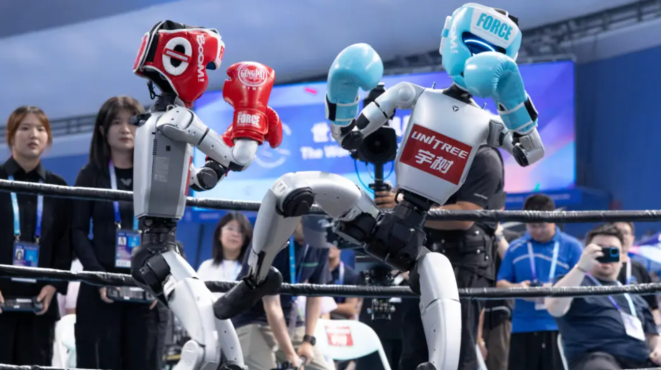 Humanoid Robot Games China