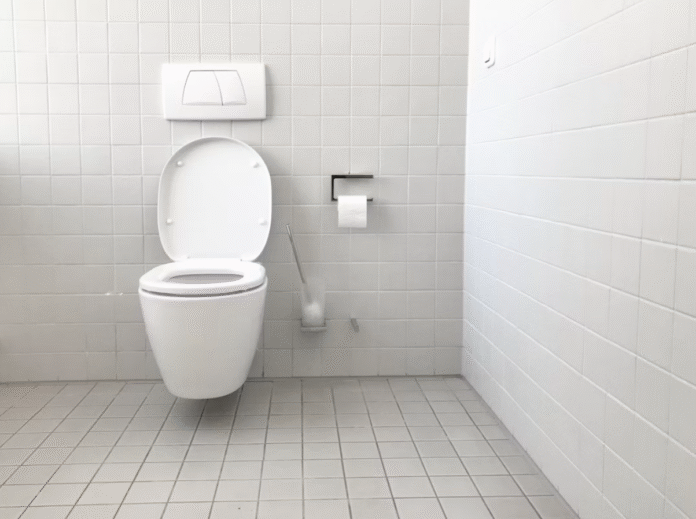 toilet seat disease risk
