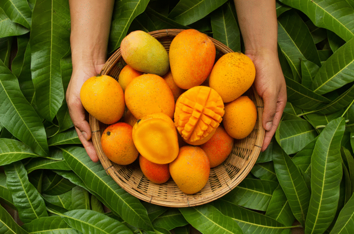 Mangoes for diabetes control