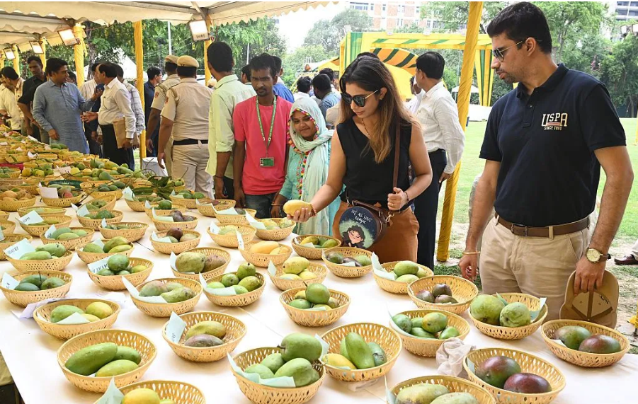Mangoes for diabetes control