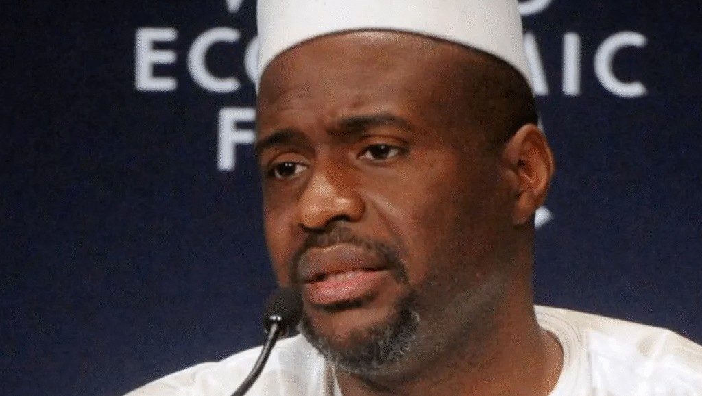 mali ex pm 2
