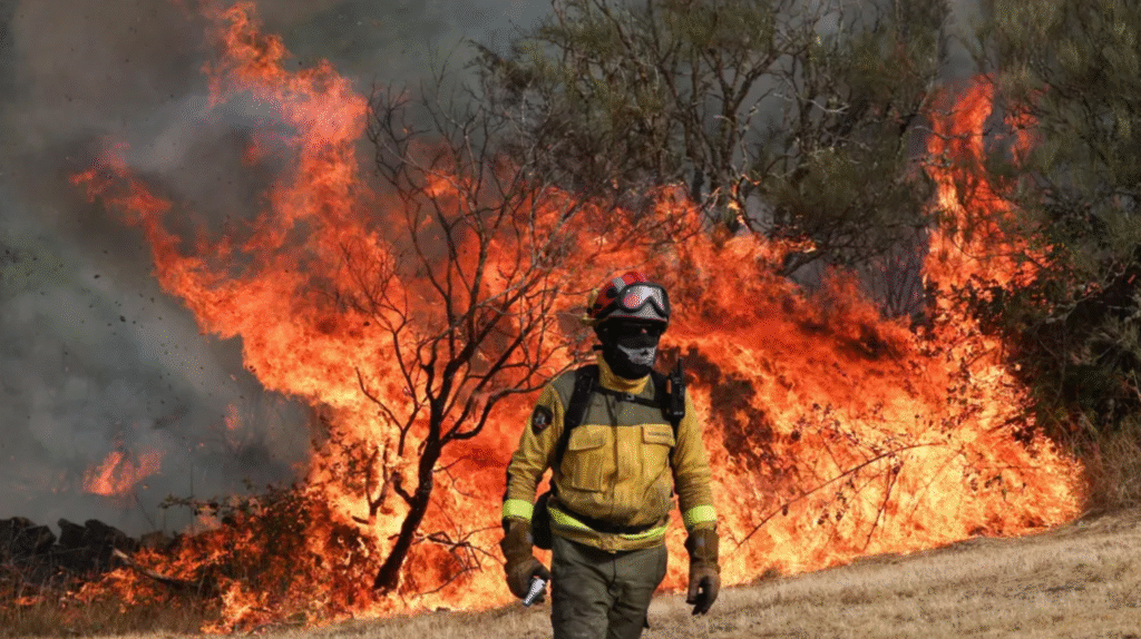 EU Wildfire Aid Spain