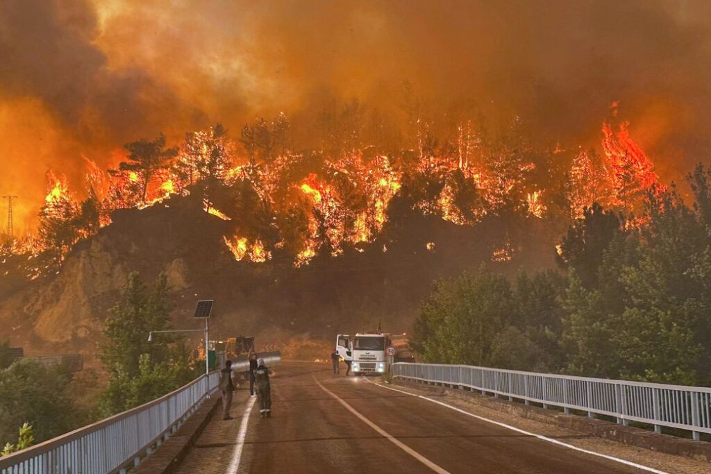 turkey wildfire
