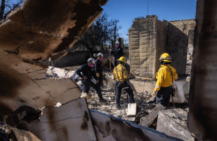 FEMA Workers Criticize Trump Cuts