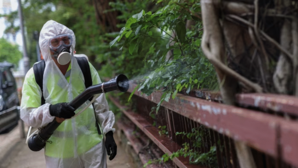 China Chikungunya Virus Outbreak