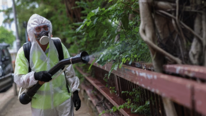 China Chikungunya Virus Outbreak
