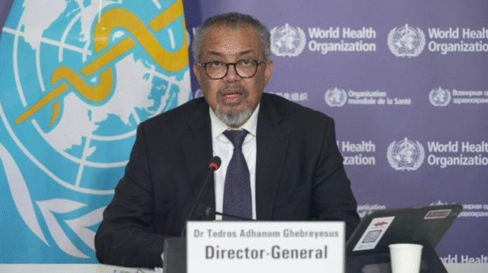 Gaza health crisis famine