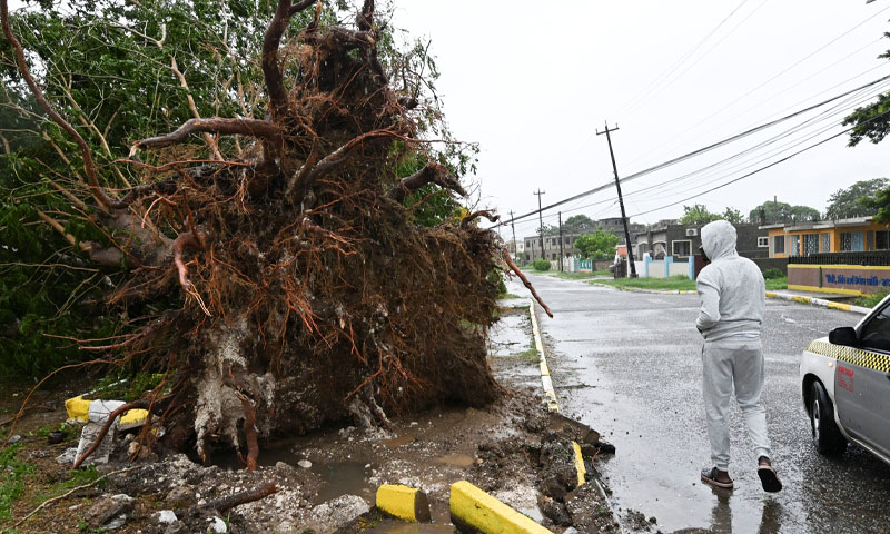 Hurricane Beryl Jamaica Damage