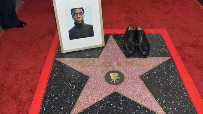 Chadwick Boseman Hollywood Star